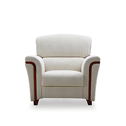 接待沙发   ANSUNER火狐官方网站品牌