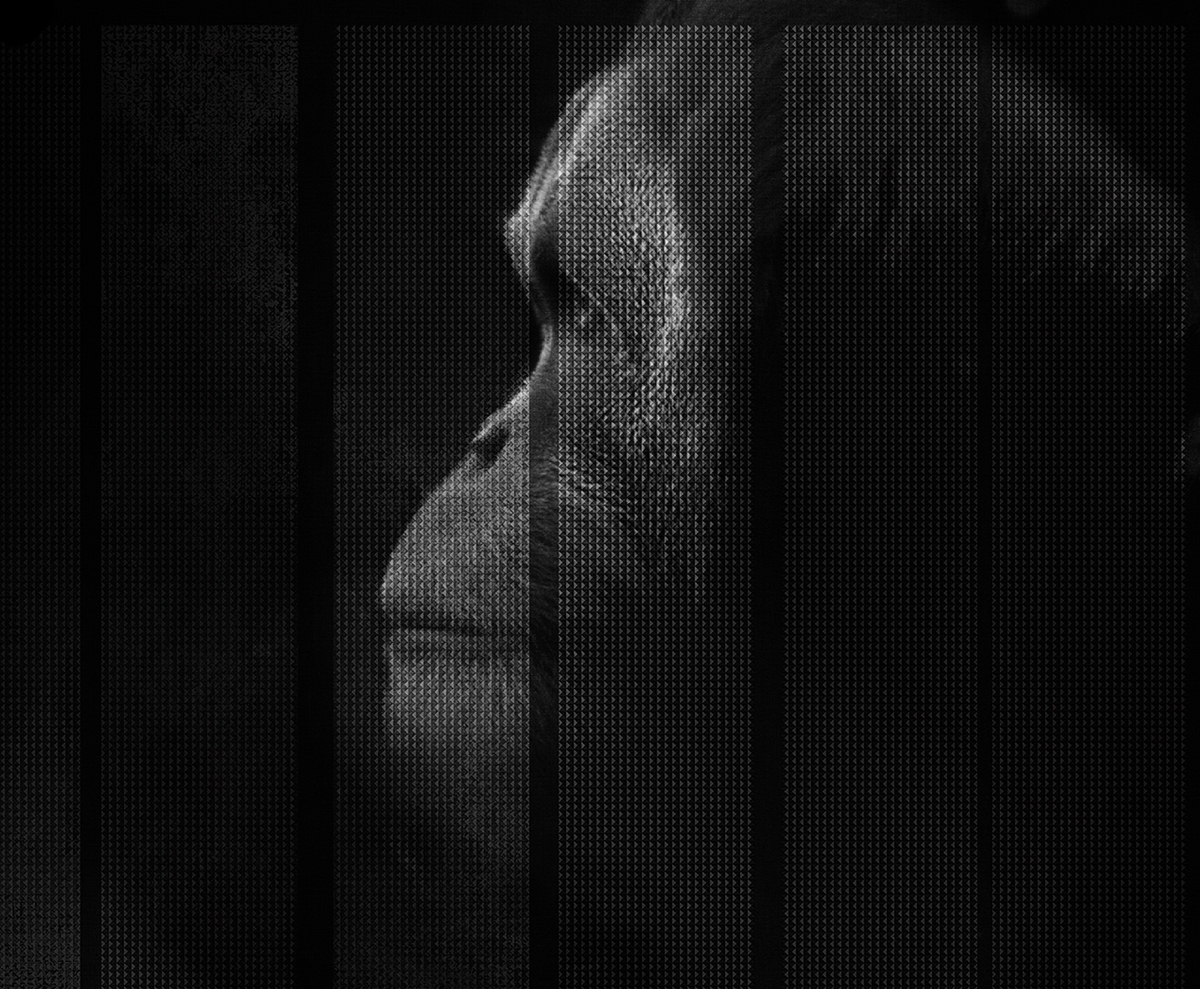 [创意火狐官方网站 - 附件|装饰画/墙饰|办公火狐官方网站|火狐HUOHU（中国）火狐官方网站|凯撒-原创定制壁画]