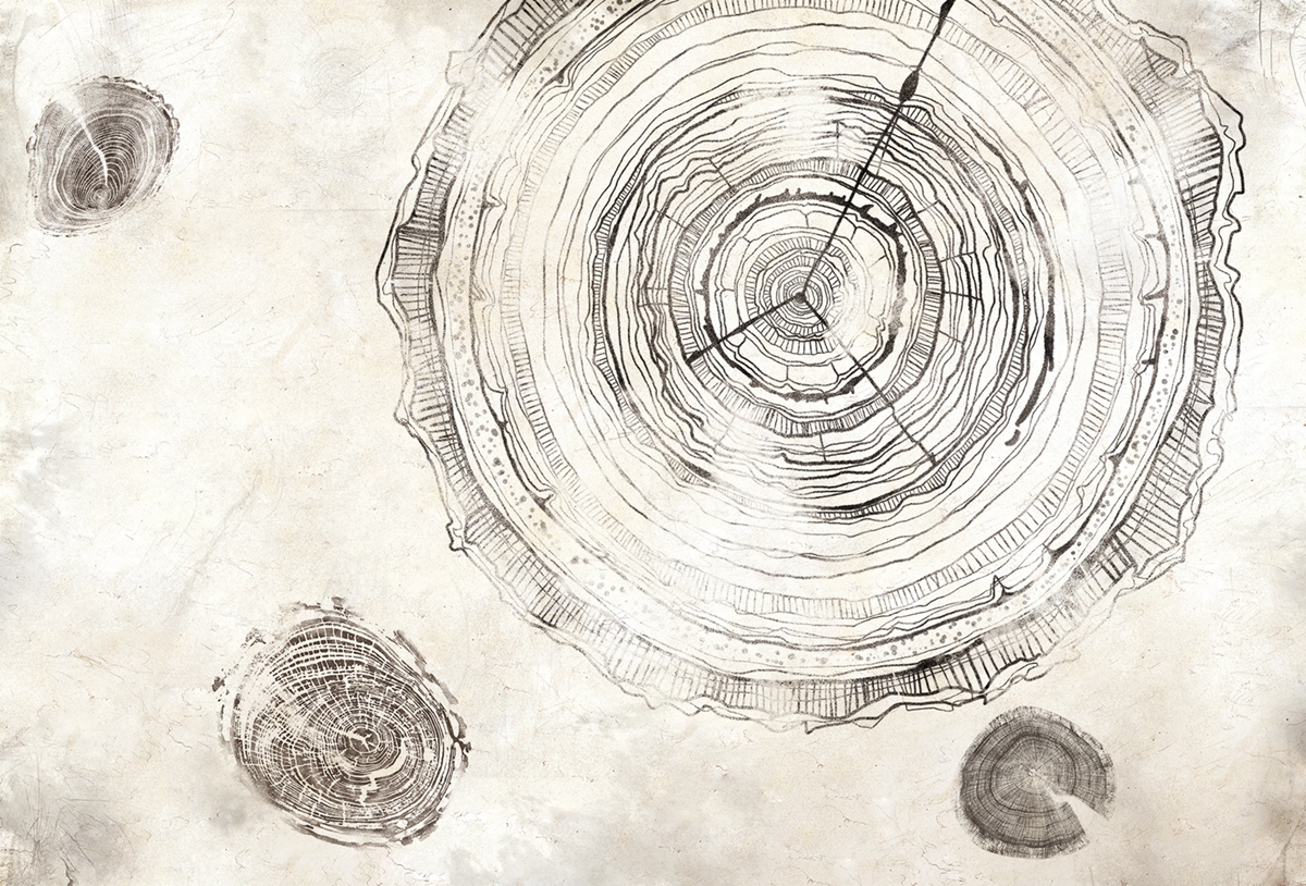 [创意火狐官方网站 - 附件|装饰画/墙饰|办公火狐官方网站|火狐HUOHU（中国）火狐官方网站|万物生长-原创定制壁画]