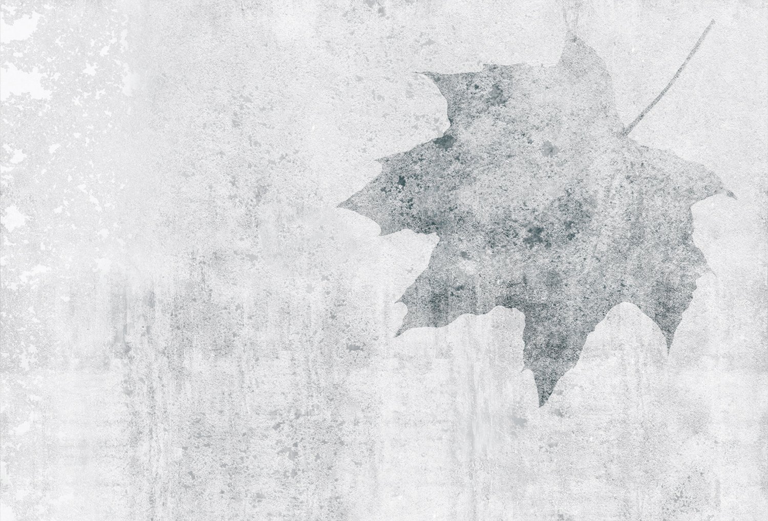 [创意火狐官方网站 - 附件|装饰画/墙饰|办公火狐官方网站|火狐HUOHU（中国）火狐官方网站|枫叶-原创定制壁画]