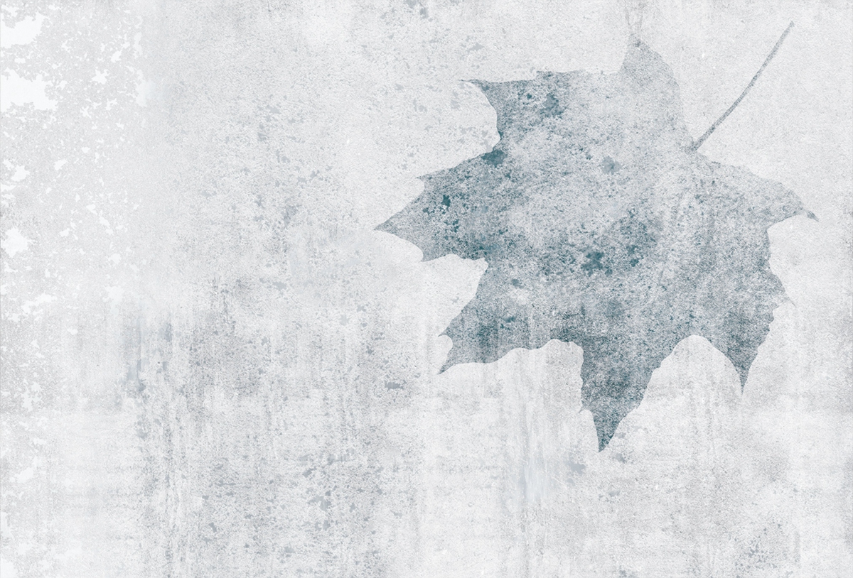 创意火狐官方网站 - 附件|装饰画/墙饰|办公火狐官方网站|火狐HUOHU（中国）火狐官方网站|枫叶-原创定制壁画