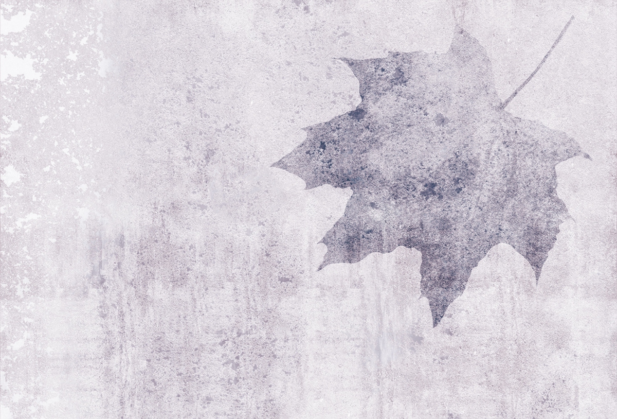 创意火狐官方网站 - 附件|装饰画/墙饰|办公火狐官方网站|火狐HUOHU（中国）火狐官方网站|枫叶-原创定制壁画