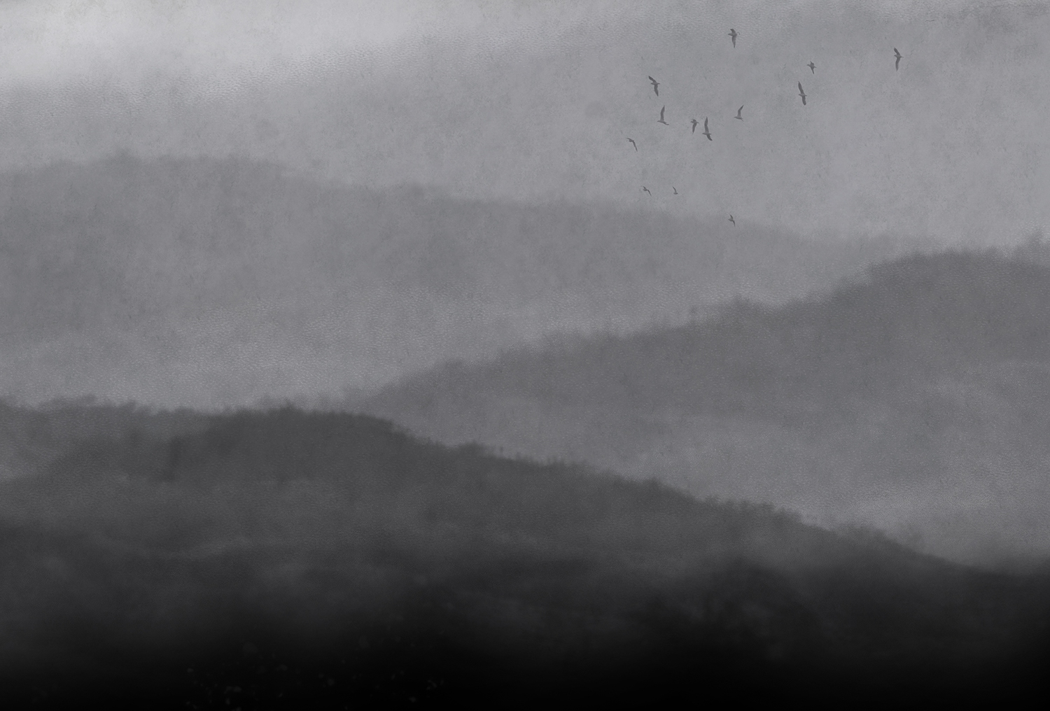 [创意火狐官方网站 - 附件|装饰画/墙饰|办公火狐官方网站|火狐HUOHU（中国）火狐官方网站|雾-原创定制壁画]