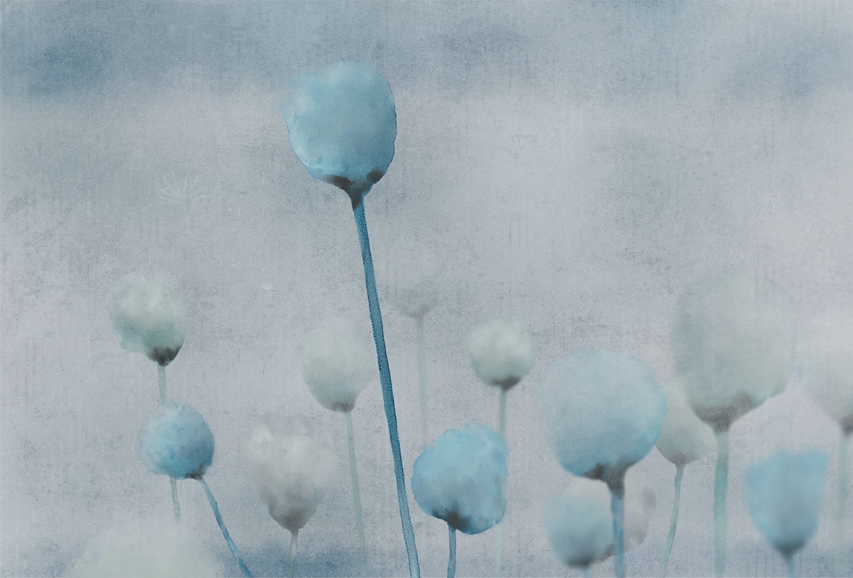 [创意火狐官方网站 - 附件|装饰画/墙饰|办公火狐官方网站|火狐HUOHU（中国）火狐官方网站|罂粟-原创定制壁画]