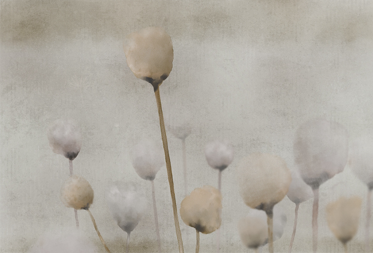 创意火狐官方网站 - 附件|装饰画/墙饰|办公火狐官方网站|火狐HUOHU（中国）火狐官方网站|罂粟-原创定制壁画