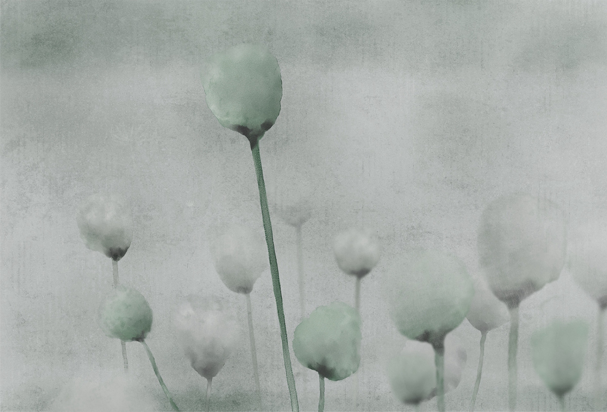 创意火狐官方网站 - 附件|装饰画/墙饰|办公火狐官方网站|火狐HUOHU（中国）火狐官方网站|罂粟-原创定制壁画