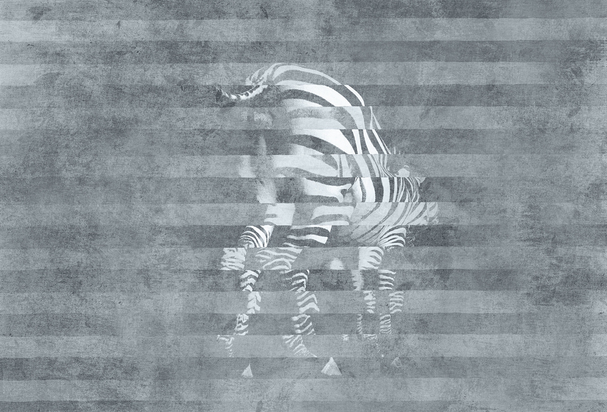 创意火狐官方网站 - 附件|装饰画/墙饰|办公火狐官方网站|火狐HUOHU（中国）火狐官方网站|斑马-原创定制壁画