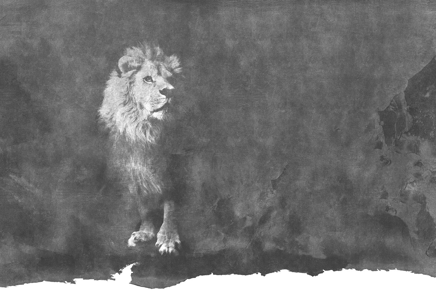 [创意火狐官方网站 - 附件|装饰画/墙饰|办公火狐官方网站|火狐HUOHU（中国）火狐官方网站|狮子-原创定制壁画]