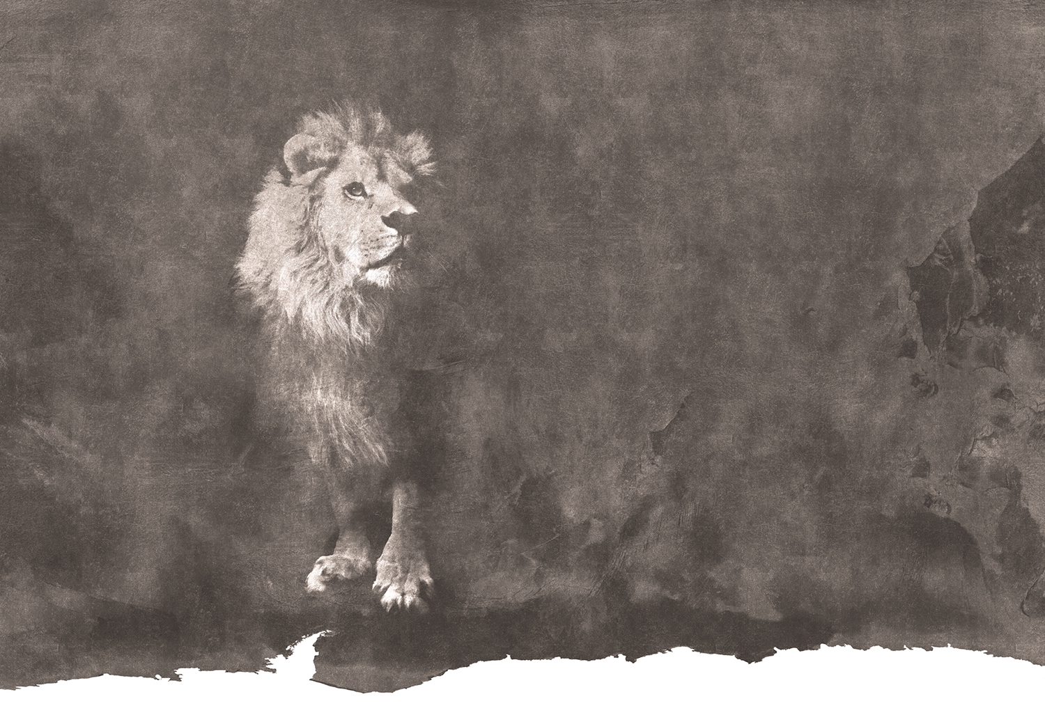 创意火狐官方网站 - 附件|装饰画/墙饰|办公火狐官方网站|火狐HUOHU（中国）火狐官方网站|狮子-原创定制壁画