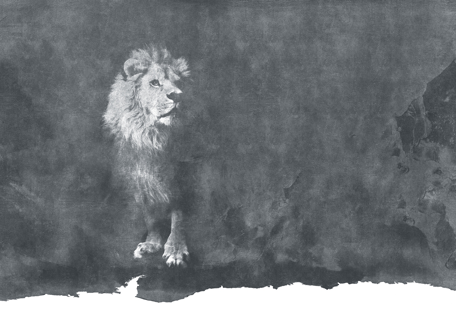 创意火狐官方网站 - 附件|装饰画/墙饰|办公火狐官方网站|火狐HUOHU（中国）火狐官方网站|狮子-原创定制壁画