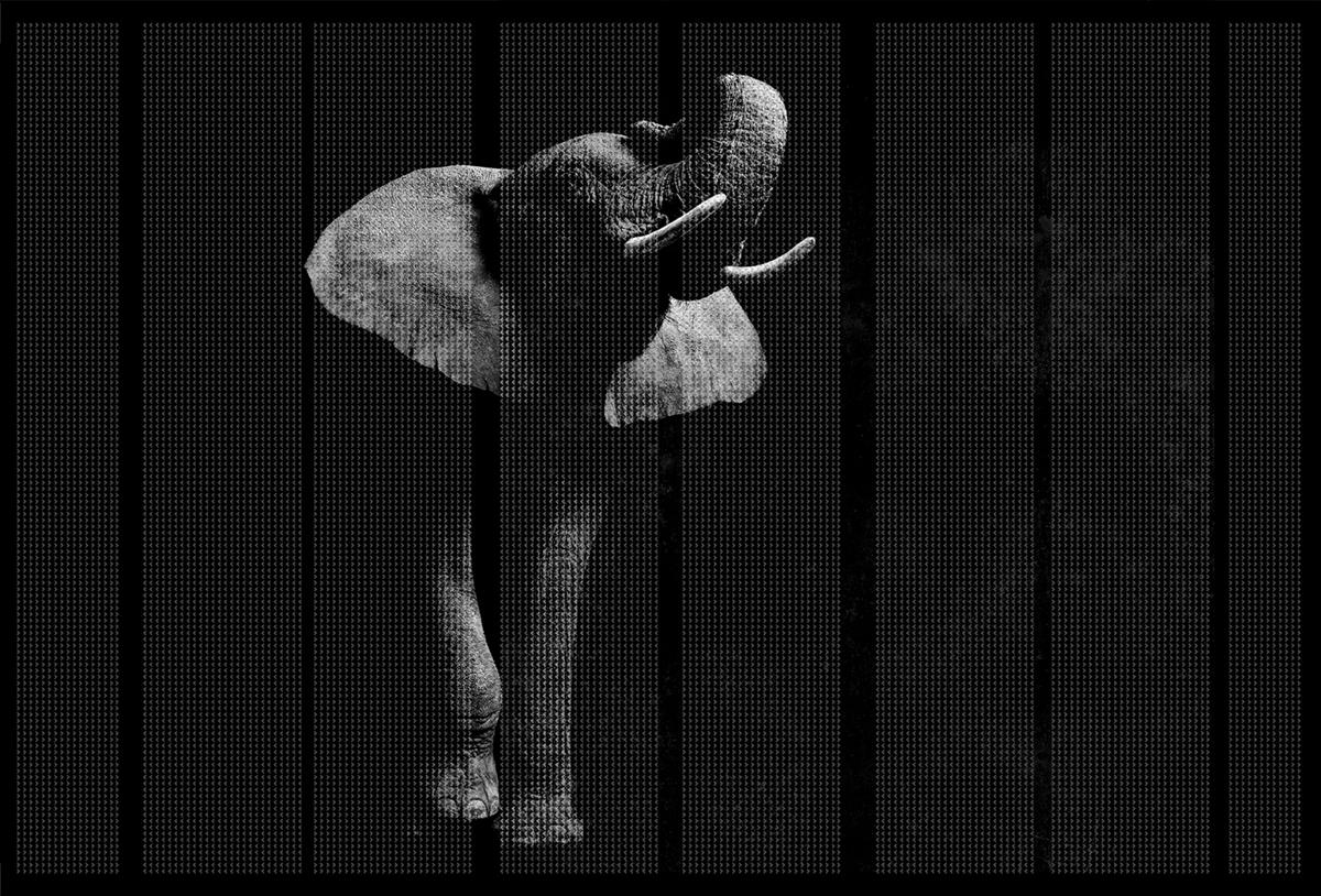 [创意火狐官方网站 - 附件|装饰画/墙饰|办公火狐官方网站|火狐HUOHU（中国）火狐官方网站|非洲-原创定制壁画]