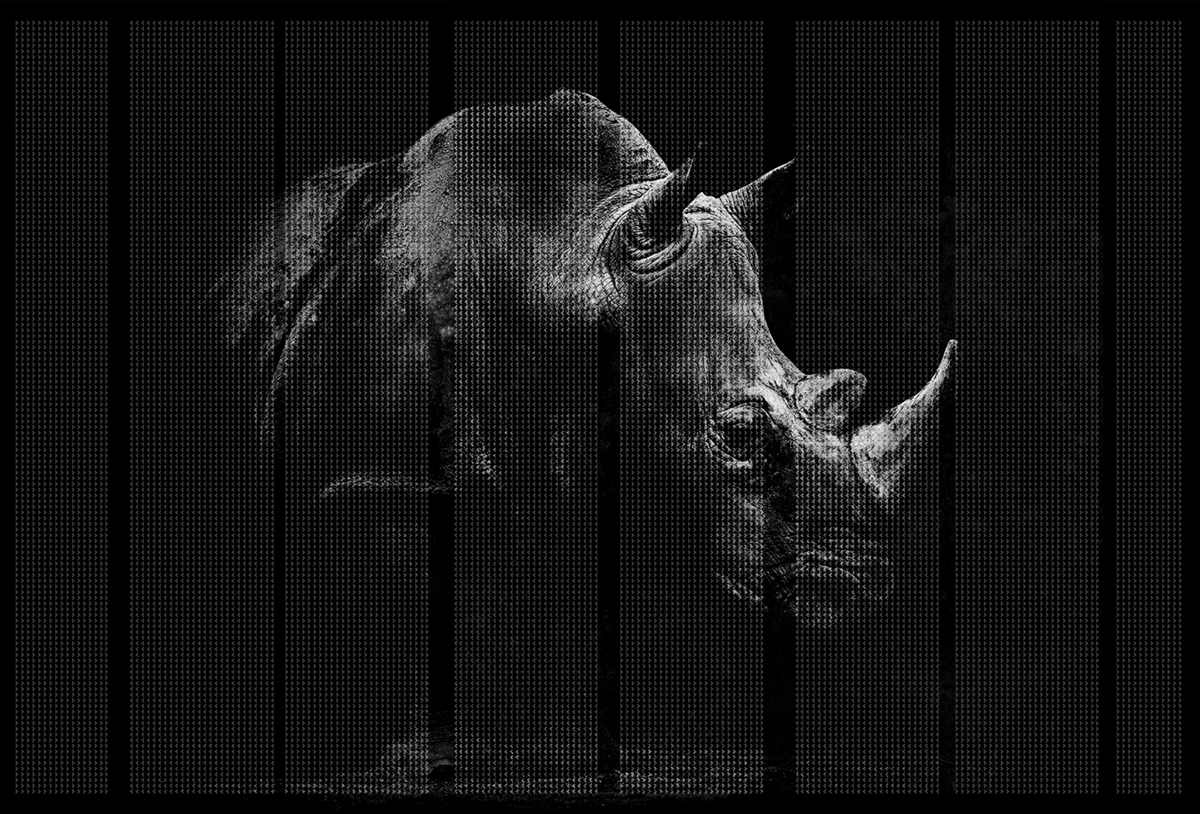 创意火狐官方网站 - 附件|装饰画/墙饰|办公火狐官方网站|火狐HUOHU（中国）火狐官方网站|非洲-原创定制壁画