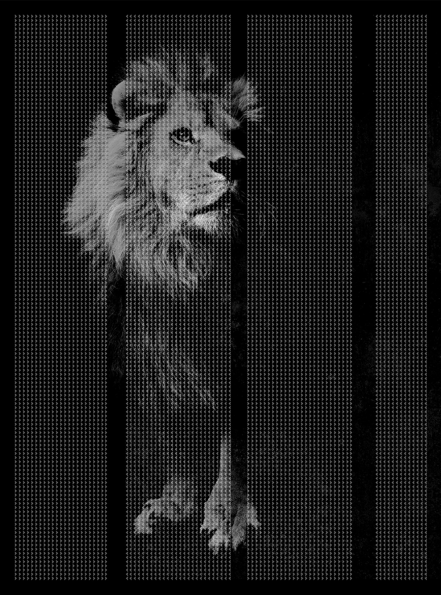 创意火狐官方网站 - 附件|装饰画/墙饰|办公火狐官方网站|火狐HUOHU（中国）火狐官方网站|非洲-原创定制壁画