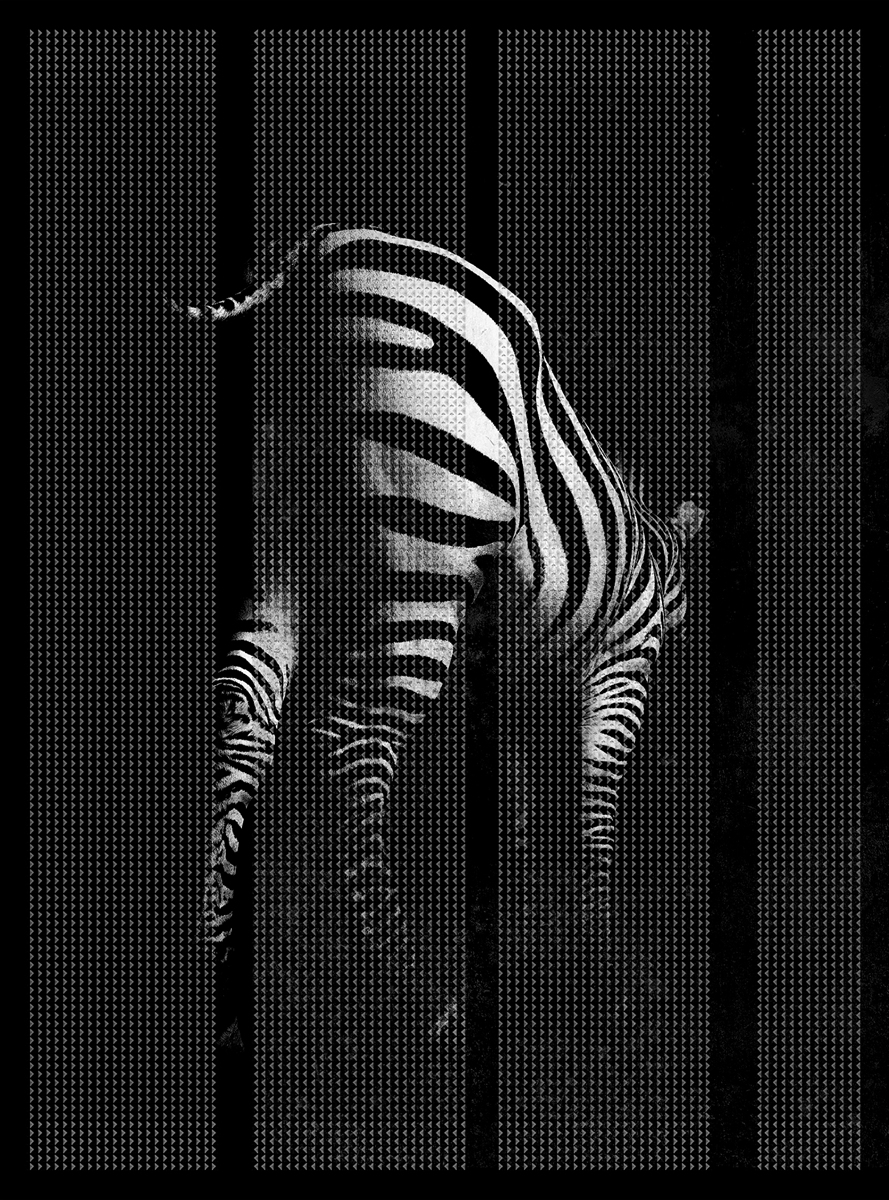 创意火狐官方网站 - 附件|装饰画/墙饰|办公火狐官方网站|火狐HUOHU（中国）火狐官方网站|非洲-原创定制壁画