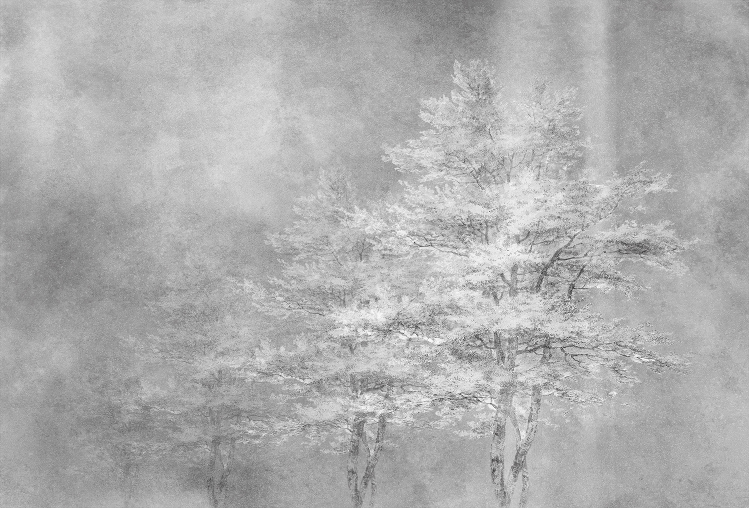 [创意火狐官方网站 - 附件|装饰画/墙饰|办公火狐官方网站|火狐HUOHU（中国）火狐官方网站|雾凇-原创定制壁画]