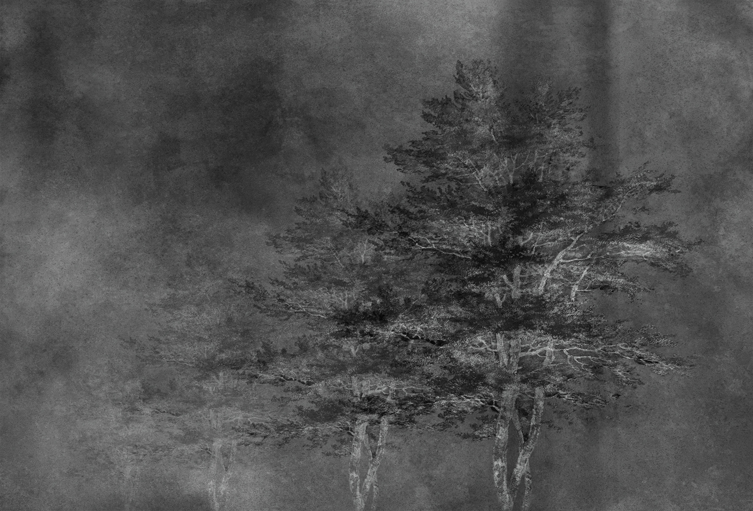 创意火狐官方网站 - 附件|装饰画/墙饰|办公火狐官方网站|火狐HUOHU（中国）火狐官方网站|雾凇-原创定制壁画