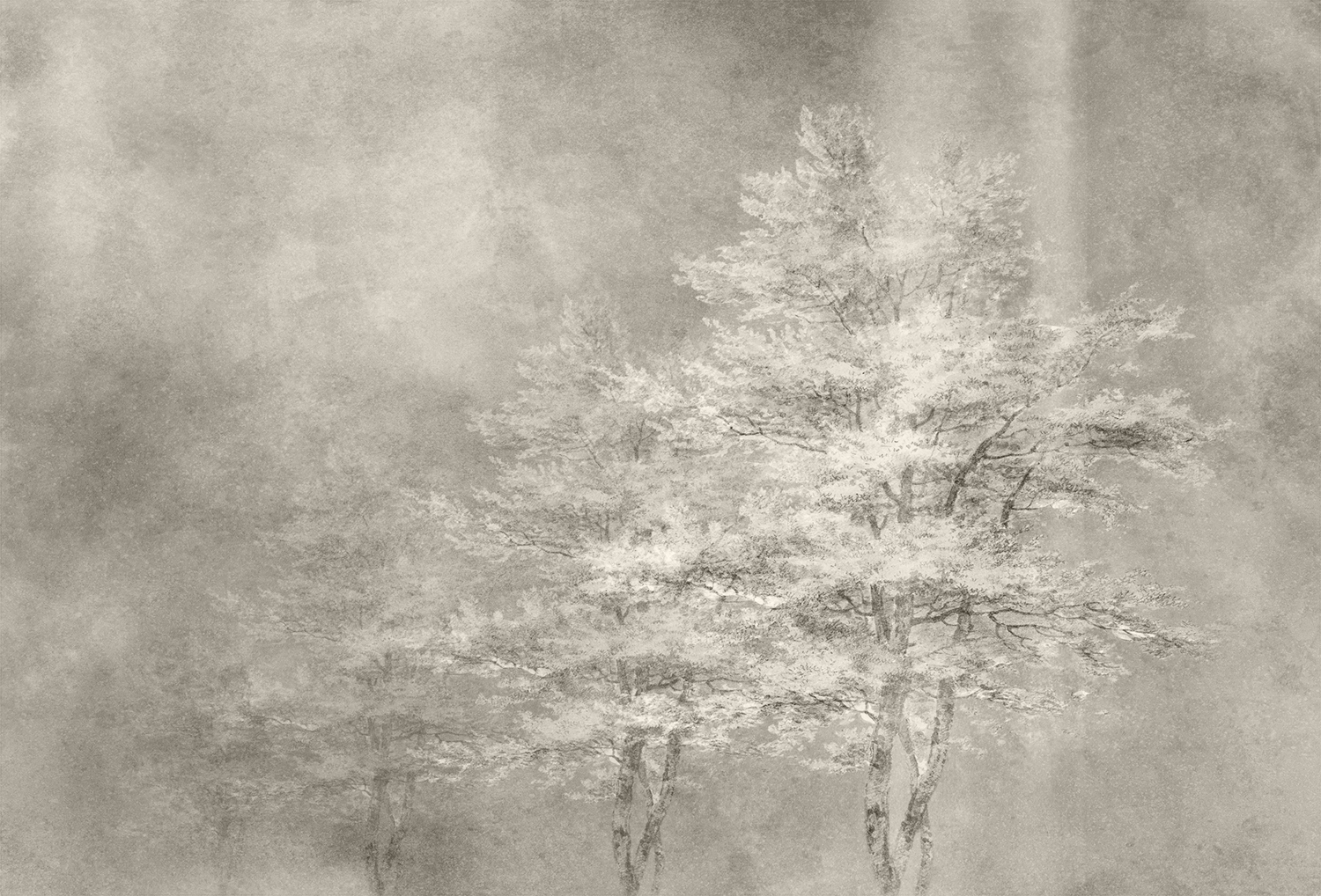 创意火狐官方网站 - 附件|装饰画/墙饰|办公火狐官方网站|火狐HUOHU（中国）火狐官方网站|雾凇-原创定制壁画