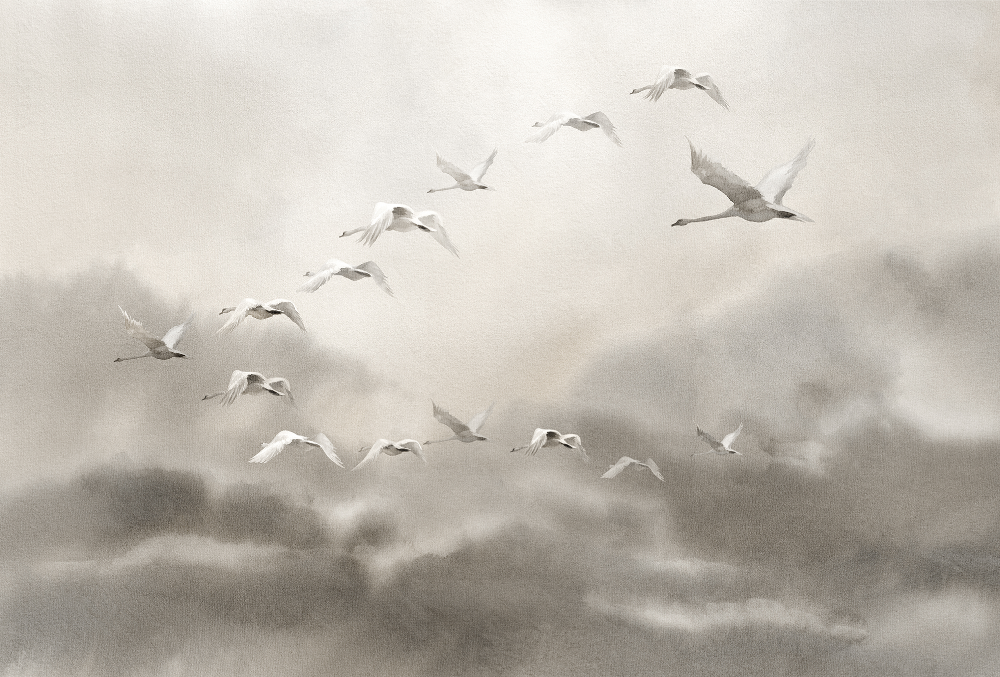 创意火狐官方网站 - 附件|装饰画/墙饰|办公火狐官方网站|火狐HUOHU（中国）火狐官方网站|候鸟Ⅱ-原创定制壁画