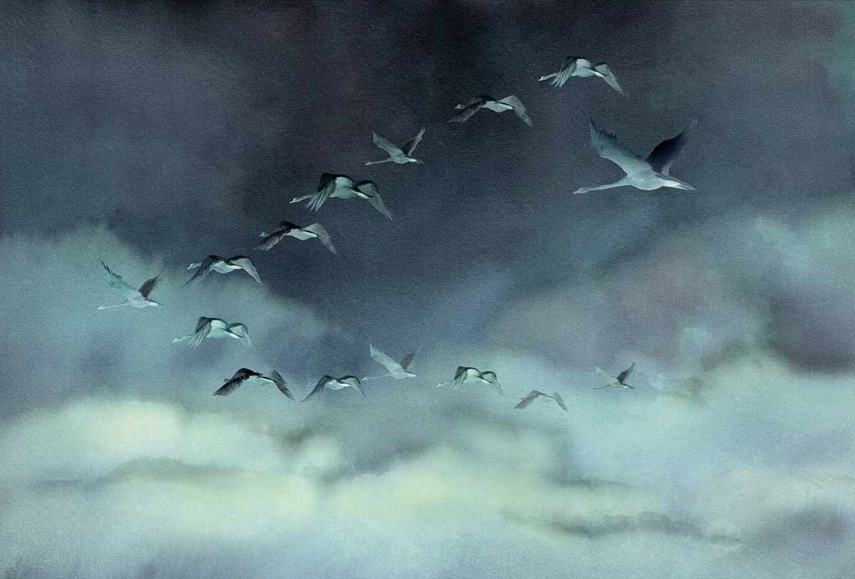 创意火狐官方网站 - 附件|装饰画/墙饰|办公火狐官方网站|火狐HUOHU（中国）火狐官方网站|候鸟Ⅱ-原创定制壁画