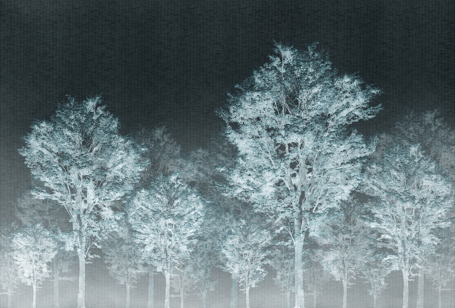 创意火狐官方网站 - 附件|装饰画/墙饰|办公火狐官方网站|火狐HUOHU（中国）火狐官方网站|从林-原创定制壁画