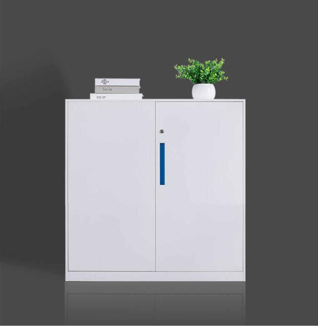 [钢制文件柜|文件柜系列|办公火狐官方网站|火狐HUOHU（中国）火狐官方网站|钢制二层开门柜]