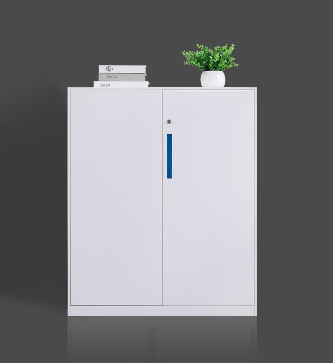 [钢制文件柜|文件柜系列|办公火狐官方网站|火狐HUOHU（中国）火狐官方网站|二层钢制开门柜]