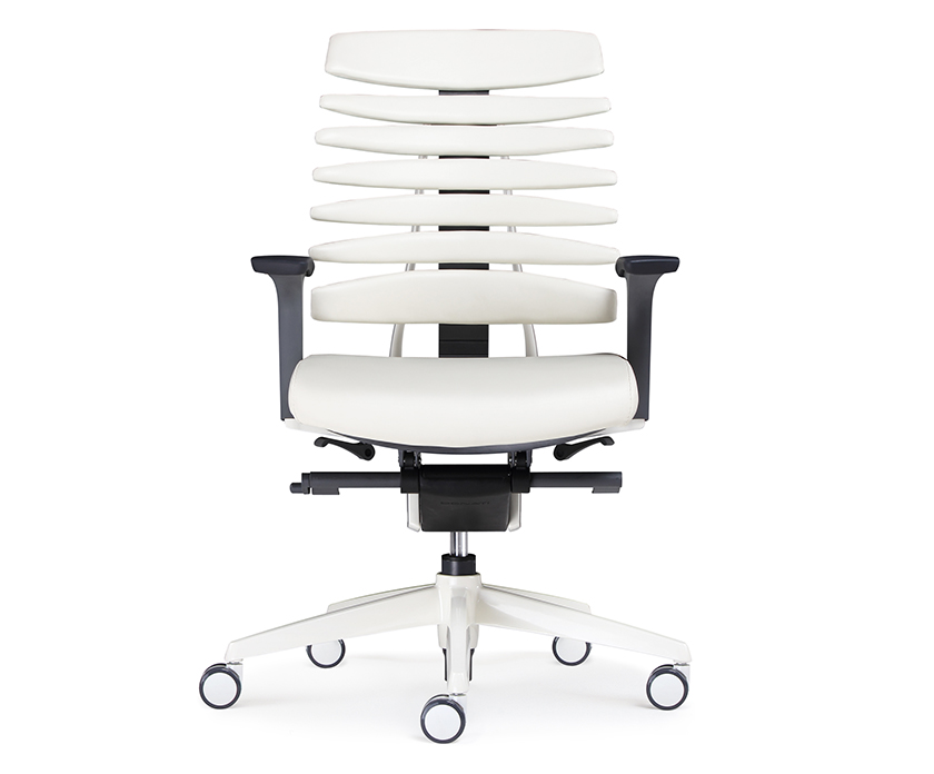 办公椅|精品办公椅|办公火狐官方网站|火狐HUOHU（中国）火狐官方网站|龙骨椅