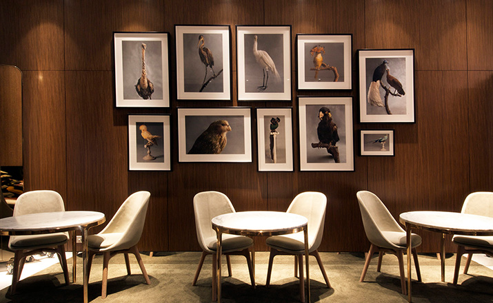 创意火狐官方网站 - 坐具|餐椅|办公火狐官方网站|火狐HUOHU（中国）火狐官方网站|Solo餐椅