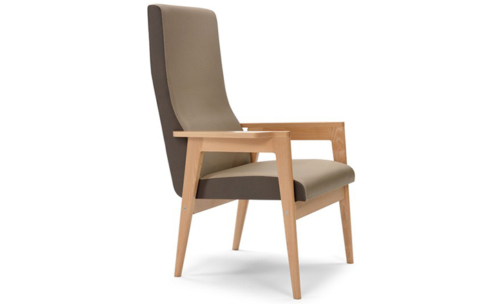 创意火狐官方网站 - 坐具|休闲椅|办公火狐官方网站|火狐HUOHU（中国）火狐官方网站|Danesa 扶手椅