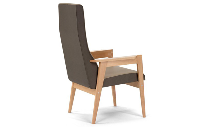 创意火狐官方网站 - 坐具|休闲椅|办公火狐官方网站|火狐HUOHU（中国）火狐官方网站|Danesa 扶手椅