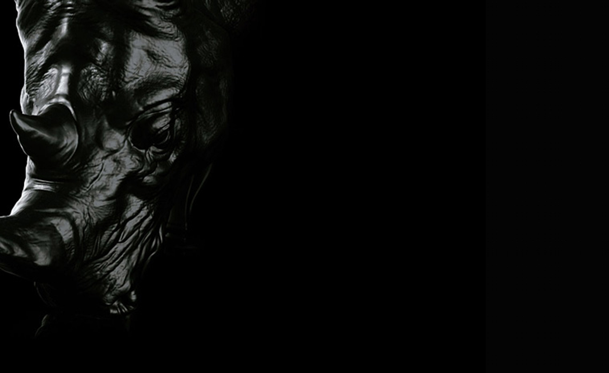 创意火狐官方网站 - 坐具|休闲椅|办公火狐官方网站|火狐HUOHU（中国）火狐官方网站|犀牛椅