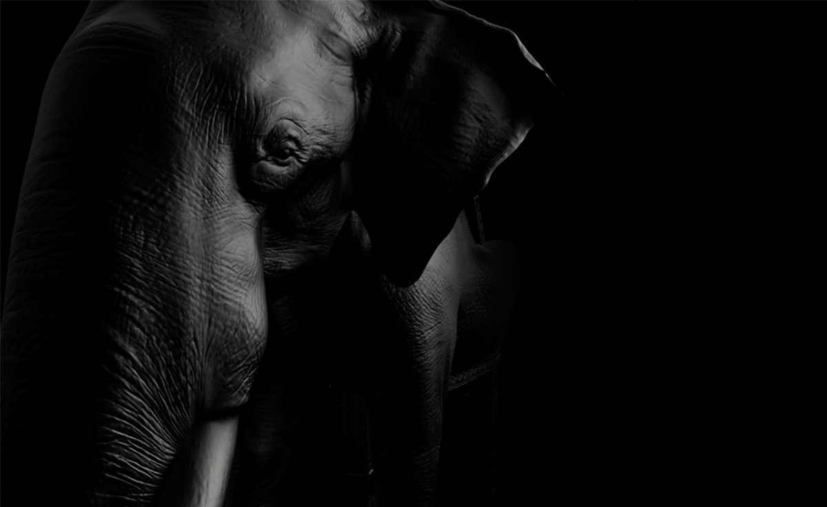 创意火狐官方网站 - 坐具|休闲椅|办公火狐官方网站|火狐HUOHU（中国）火狐官方网站|大象椅