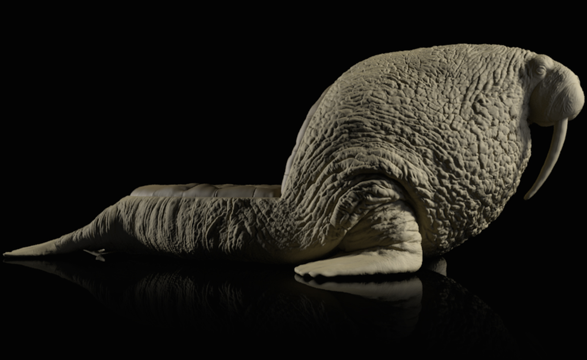 创意火狐官方网站 - 坐具|休闲椅|办公火狐官方网站|火狐HUOHU（中国）火狐官方网站|海象椅