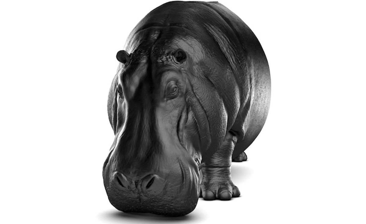 创意火狐官方网站 - 坐具|休闲椅|办公火狐官方网站|火狐HUOHU（中国）火狐官方网站|河马椅