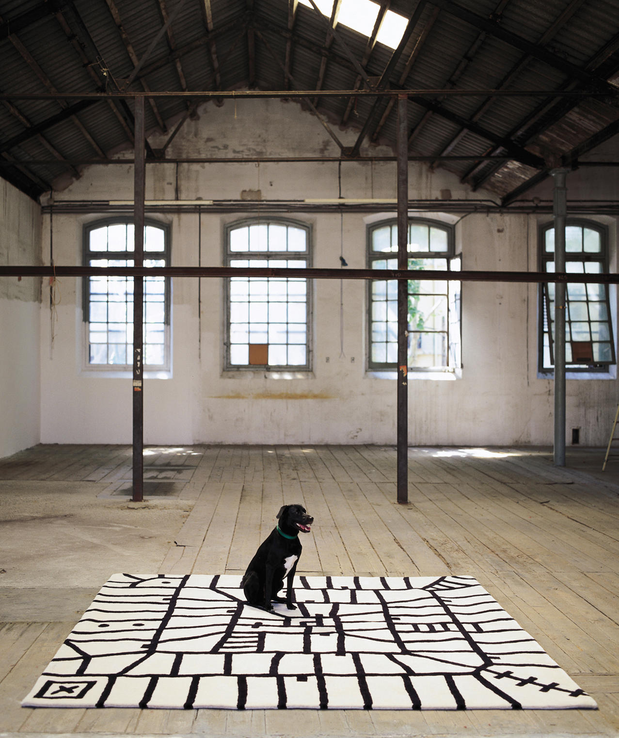 创意火狐官方网站 - 附件|地毯|办公火狐官方网站|火狐HUOHU（中国）火狐官方网站|丛林地狱黑白地毯