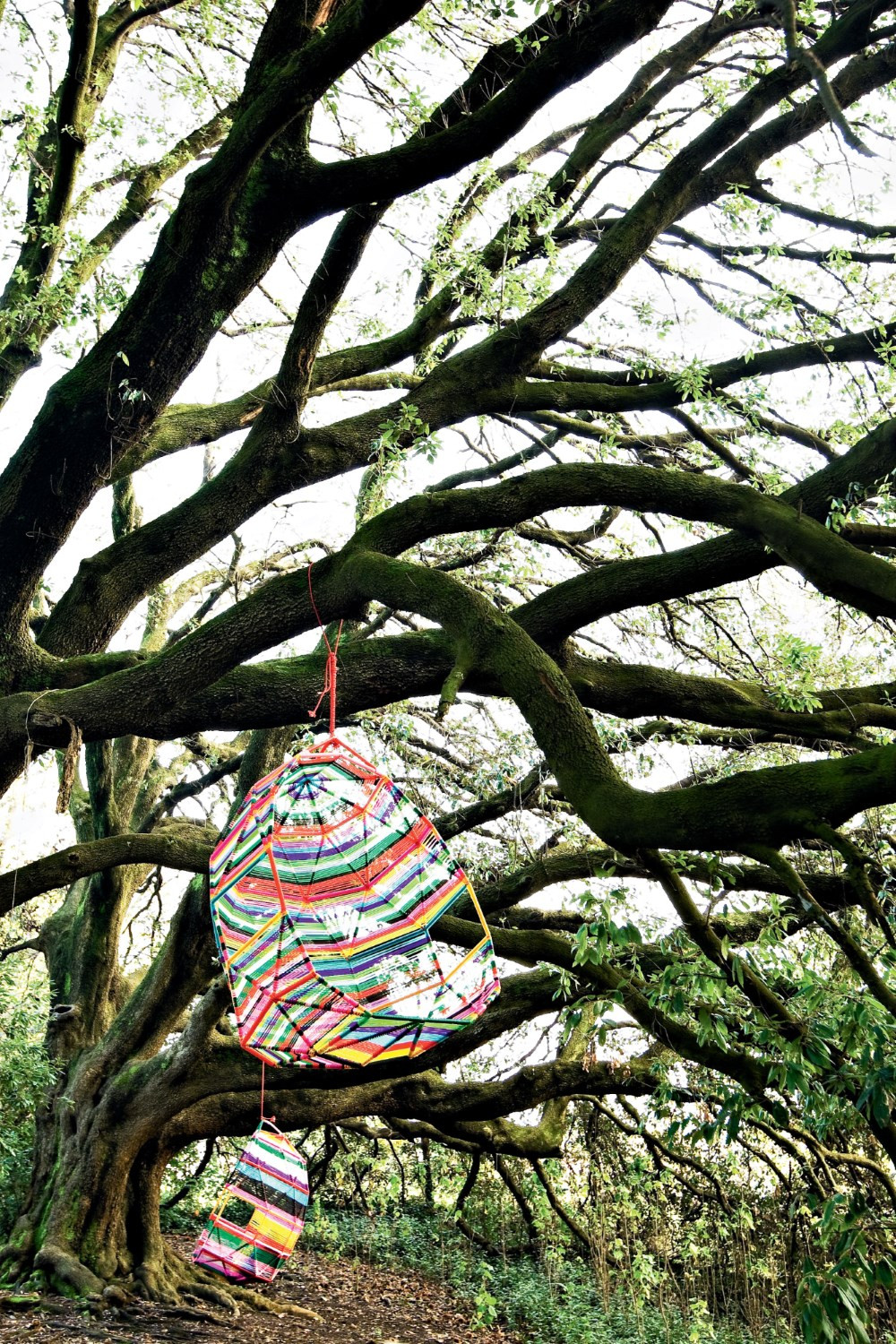 创意火狐官方网站 - 坐具|户外椅|办公火狐官方网站|火狐HUOHU（中国）火狐官方网站|茧休闲吊椅/床