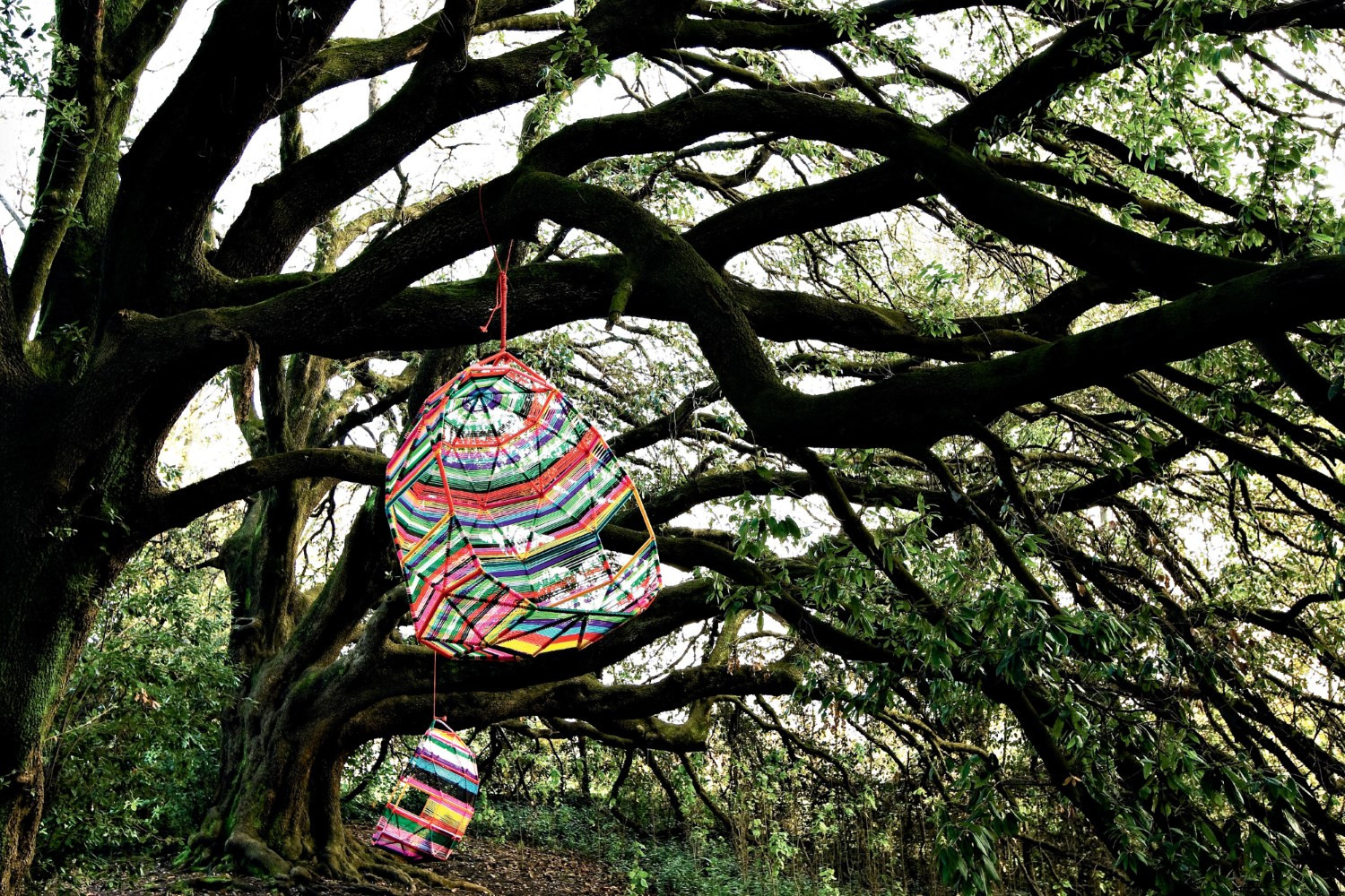 创意火狐官方网站 - 坐具|户外椅|办公火狐官方网站|火狐HUOHU（中国）火狐官方网站|茧休闲吊椅/床