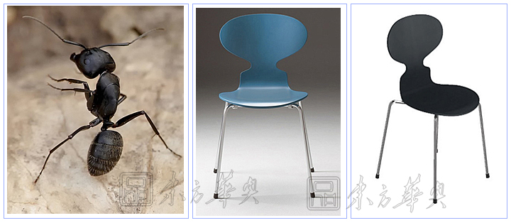 现代经典休闲椅|木制休闲椅|办公火狐官方网站|蚂蚁椅|休闲椅，塑料休闲椅，餐椅，洽谈椅