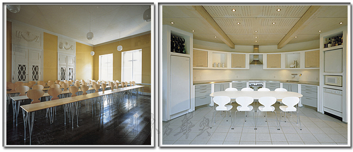 现代经典休闲椅|木制休闲椅|办公火狐官方网站|蚂蚁椅|休闲椅，塑料休闲椅，餐椅，洽谈椅