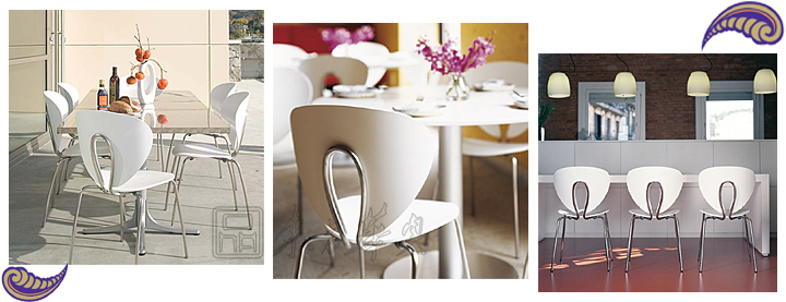 现代经典休闲椅|塑料休闲椅|办公火狐官方网站|塑料单椅|塑料休闲椅，塑料椅，餐椅，会议椅，洽谈椅，单椅，餐厅椅，咖啡厅椅