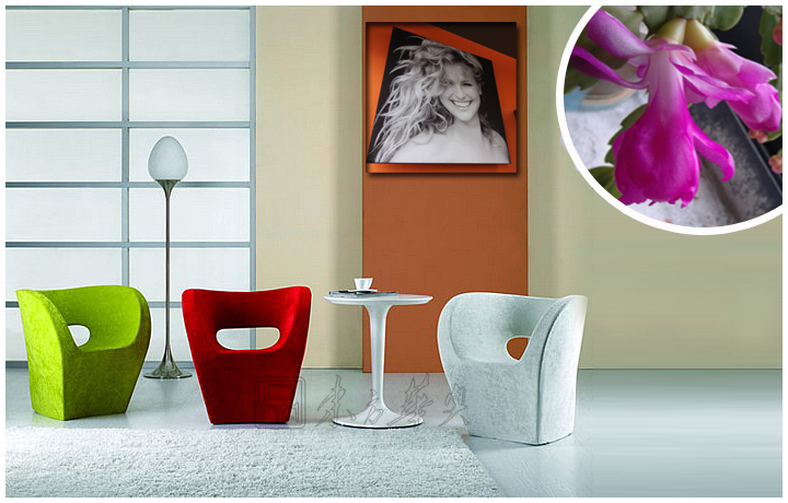 现代经典休闲椅|布面休闲椅|办公火狐官方网站|小阿尔贝特椅|休闲椅,布面休闲椅,火狐HUOHU(中国)椅,茶餐厅椅,酒吧椅