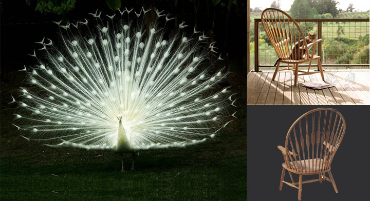 现代经典休闲椅|木制休闲椅|办公火狐官方网站|孔雀椅|休闲椅,木质单椅